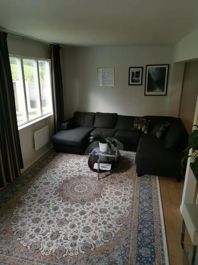 Big, Spacious Apartment With Free Parking 트롬쇠 외부 사진